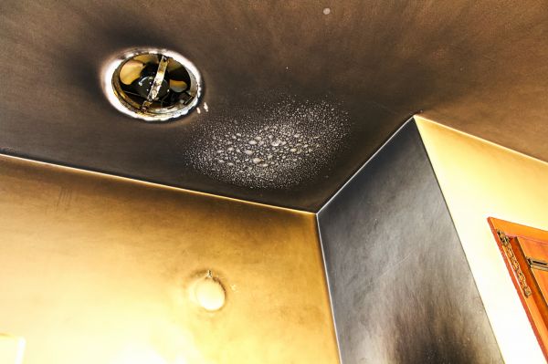 Smoke Damage Removal in Marysville